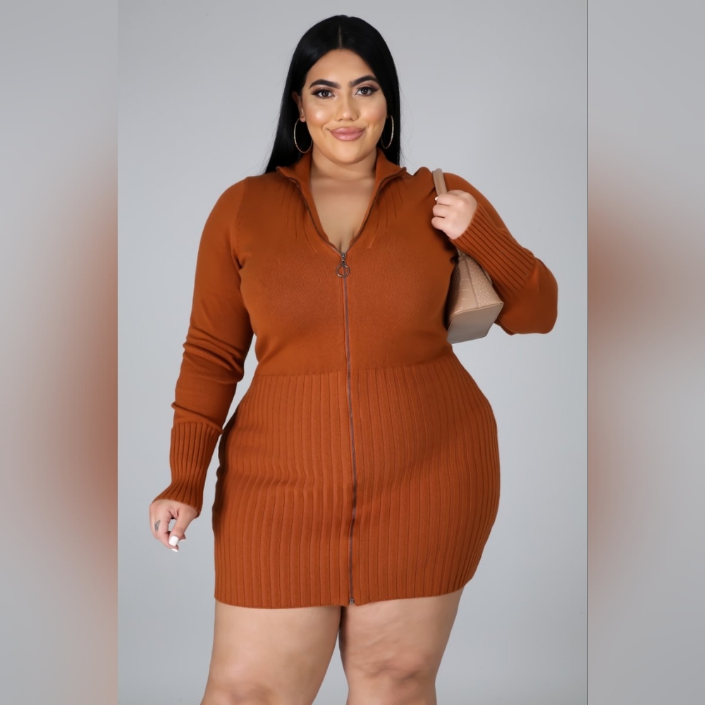 Plus size Rust Sweater Dress